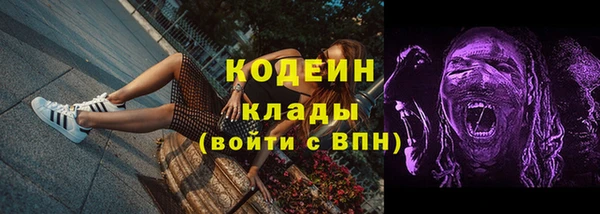 ГАЛЛЮЦИНОГЕННЫЕ ГРИБЫ Кодинск