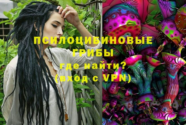 ГАЛЛЮЦИНОГЕННЫЕ ГРИБЫ Кодинск