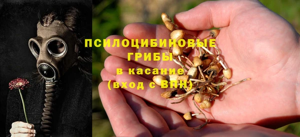 ГАЛЛЮЦИНОГЕННЫЕ ГРИБЫ Кодинск