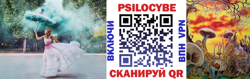Купить где  Дрезна  Псилоцибиновые грибы мухоморы 